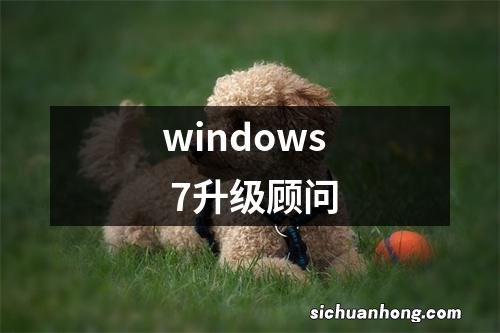 windows 7升级顾问