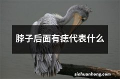 脖子后面有痣代表什么