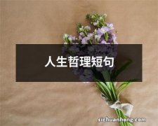 人生哲理短句