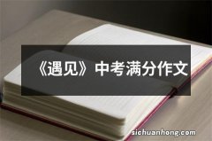 《遇见》中考满分作文