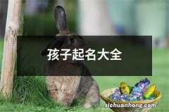 孩子起名大全