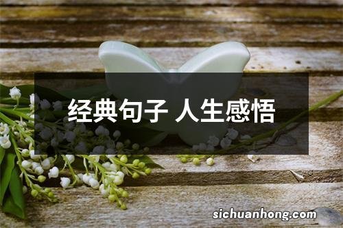 经典句子 人生感悟