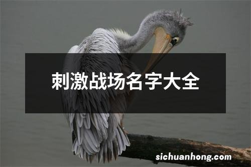 刺激战场名字大全