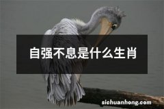 自强不息是什么生肖