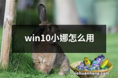 win10小娜怎么用