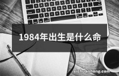 1984年出生是什么命