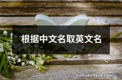 根据中文名取英文名