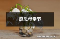 感恩母亲节