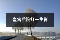 皇宫后院打一生肖