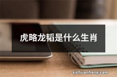 虎略龙韬是什么生肖