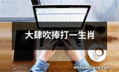 大肆吹捧打一生肖