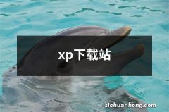 xp下载站