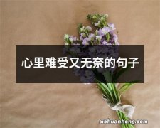 心里难受又无奈的句子