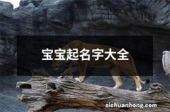 宝宝起名字大全