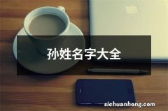 孙姓名字大全