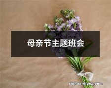 母亲节主题班会