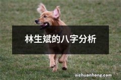 林生斌的八字分析