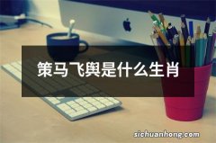 策马飞舆是什么生肖