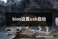 bios设置usb启动