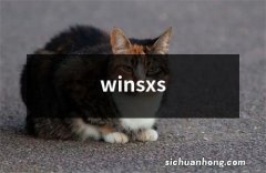 winsxs