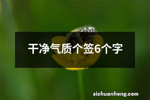 干净气质个签6个字