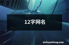 12字网名