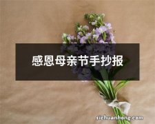 感恩母亲节手抄报