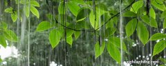 雨水节气的传统风俗有哪些