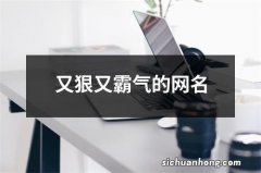 又狠又霸气的网名