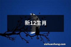 新12生肖