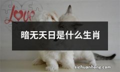 暗无天日是什么生肖