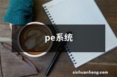 pe系统