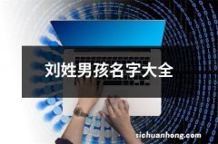 刘姓男孩名字大全