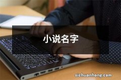 小说名字