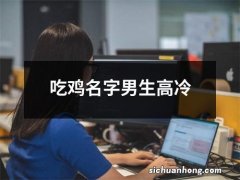 吃鸡名字男生高冷