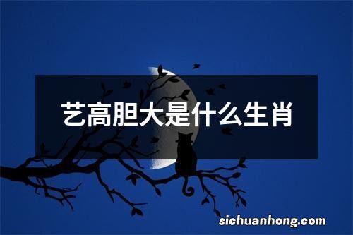 艺高胆大是什么生肖