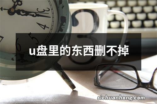 u盘里的东西删不掉