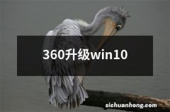 360升级win10