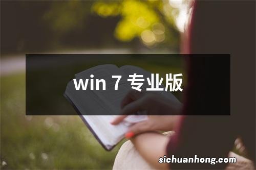 win 7 专业版