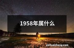 1958年属什么