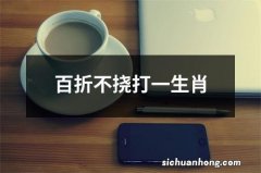 百折不挠打一生肖