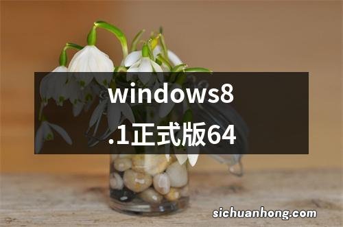 windows8.1正式版64