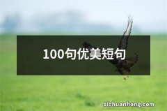 100句优美短句