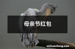 母亲节红包