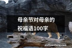 母亲节对母亲的祝福语100字