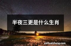 半夜三更是什么生肖