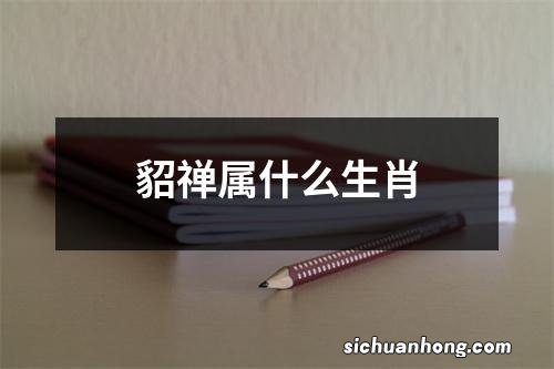 貂禅属什么生肖