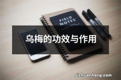 乌梅的功效与作用