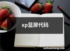 xp蓝屏代码