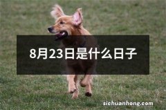 8月23日是什么日子